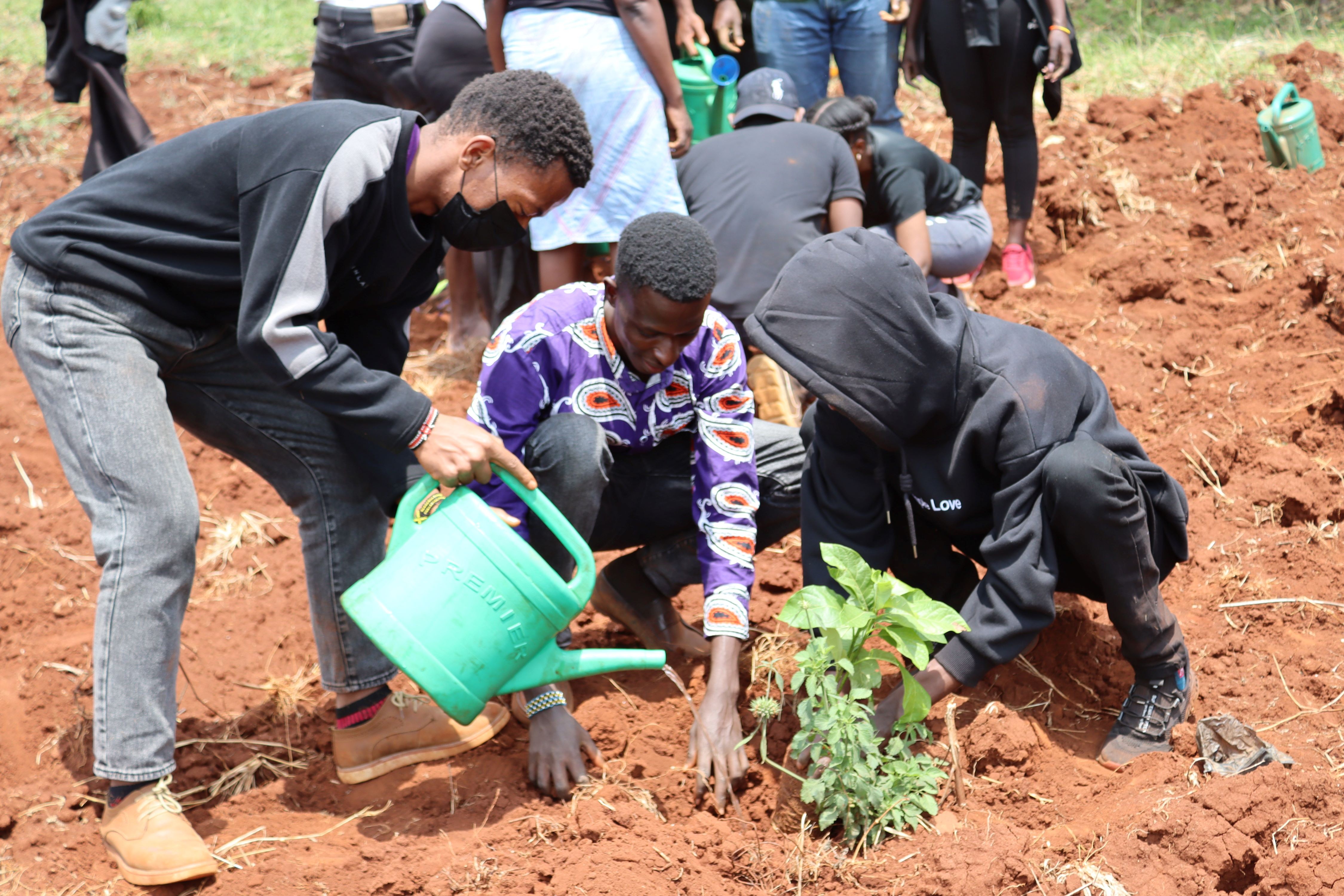 Mazingira Day: A Nationwide Push for Fruit Trees and Clean Communities
