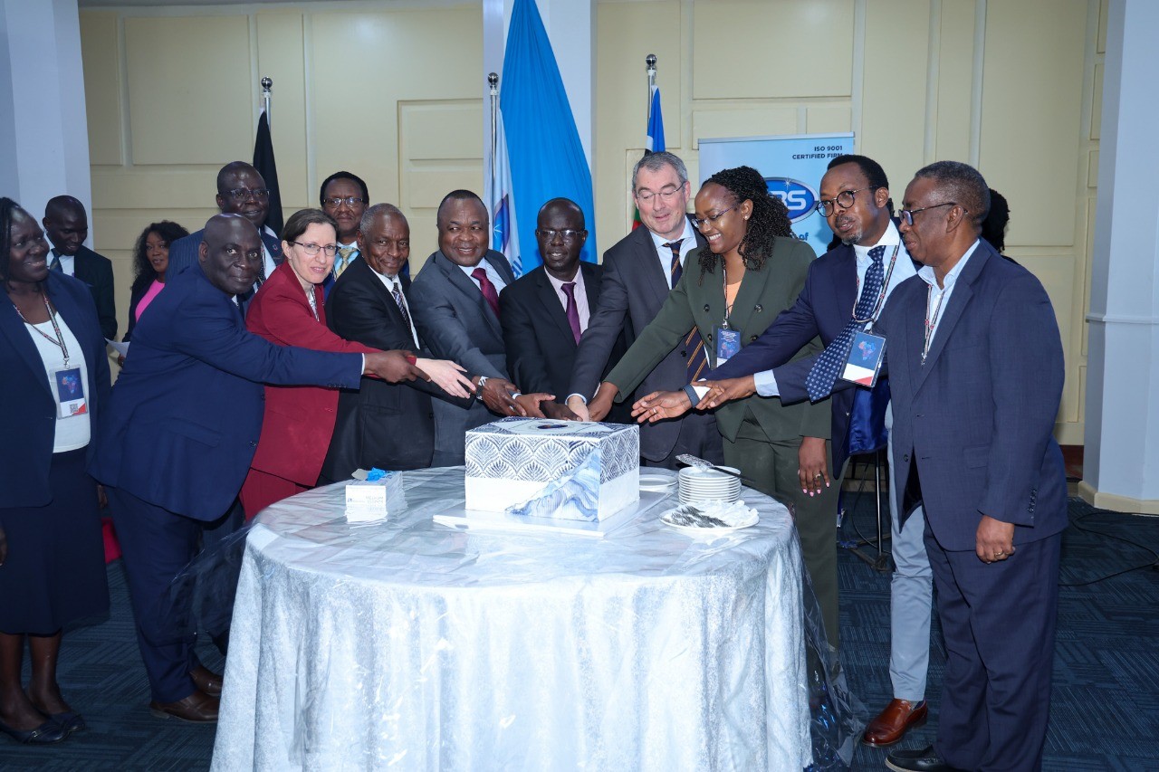 IEC-AFRC Marks a Decade of Strengthening Africa’s Voice in Electrotechnology