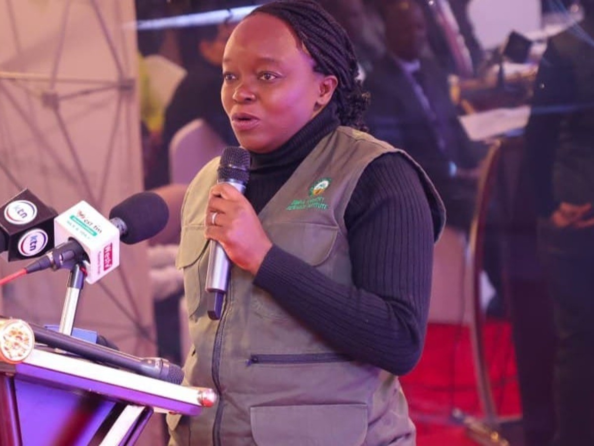 Kenya Launches Ambitious 10-Year Plan to Restore Mount Elgon Ecosystem